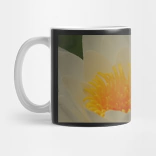 Water lily gold Mug